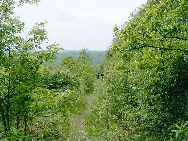 2010.05.08 (099).jpg